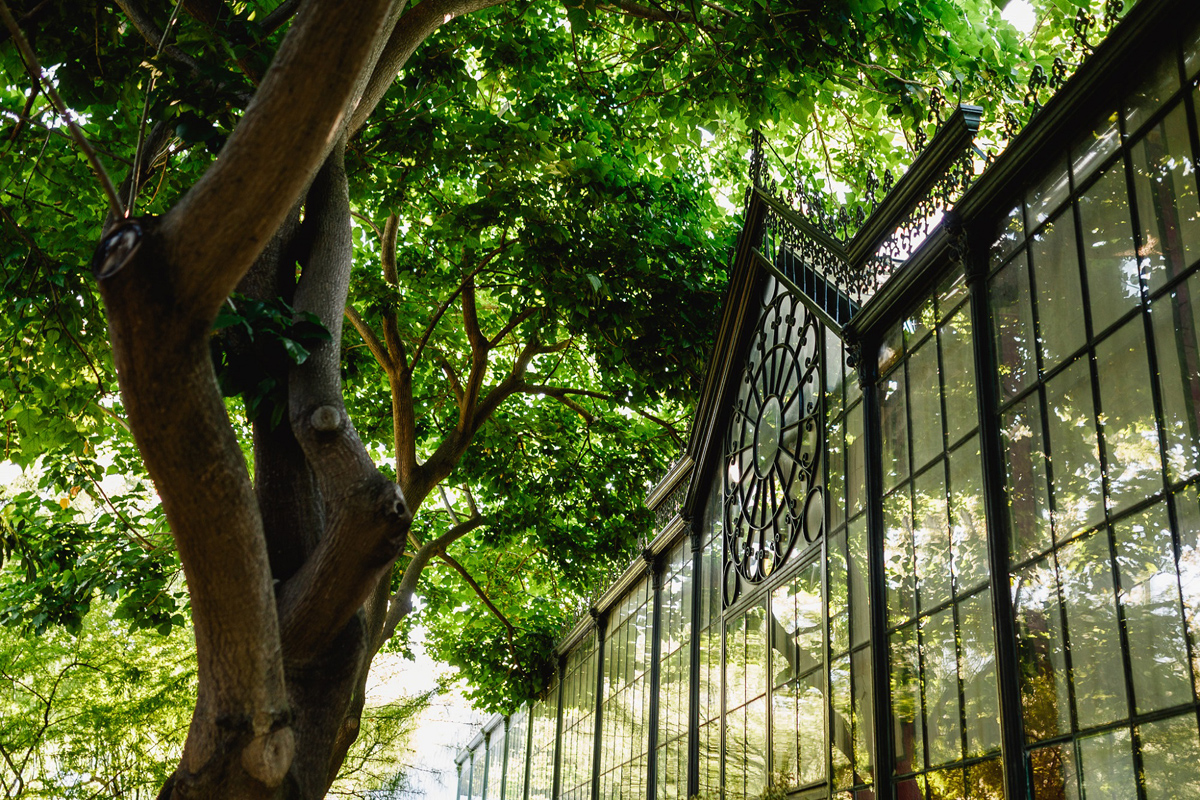 Destination Wedding Venues Estufa Real Nuno Ferreira 45