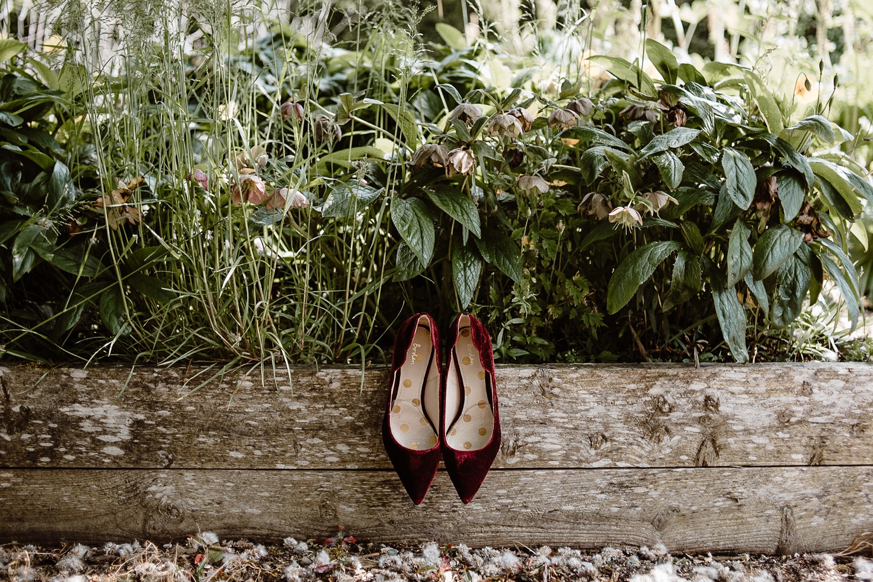 Alexandra Grecco bride Irish Forest Wedding 1