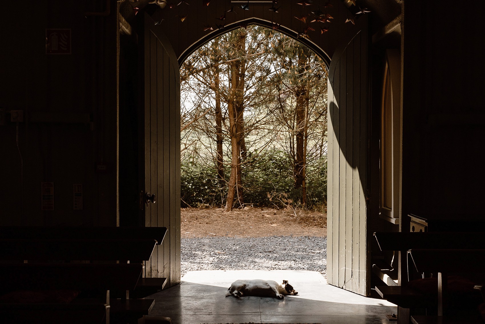 Alexandra Grecco bride Irish Forest Wedding  - A Bride in Alexandra Grecco, 1000 Papercranes and an Irish Forest Wedding