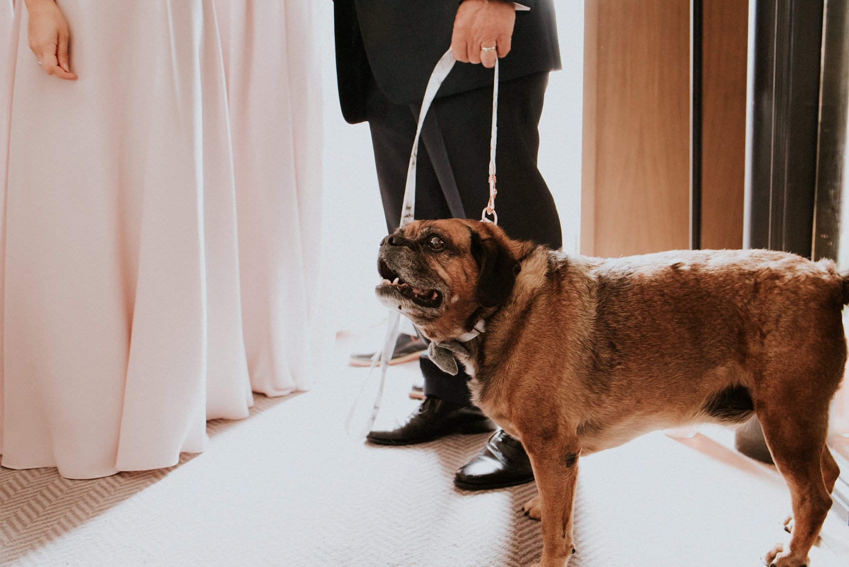 6 Alexandra Grecco dress fun rustic farm wedding