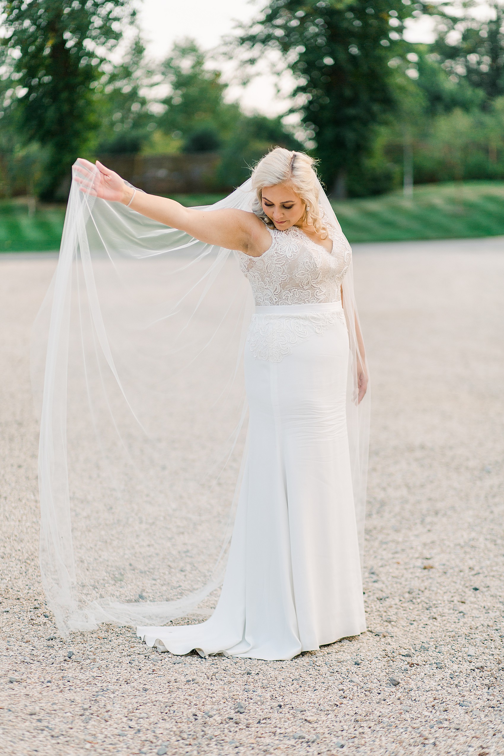 suzanne neville elegance