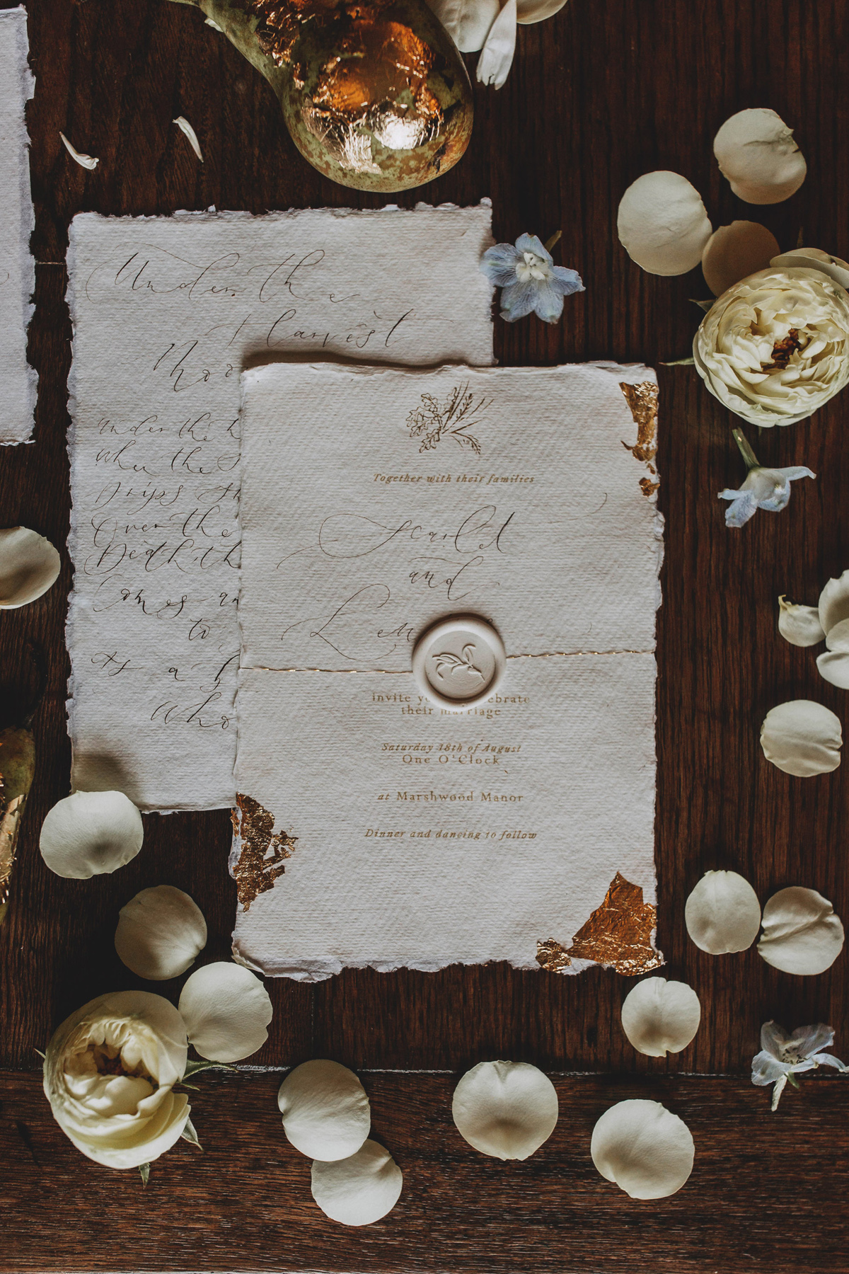 Harvest Moon bridal editorial 103