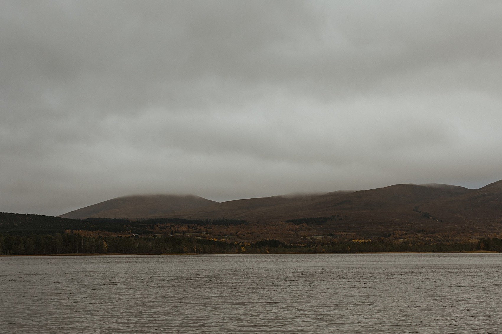 38 Dell of Abernethy woodland wedding