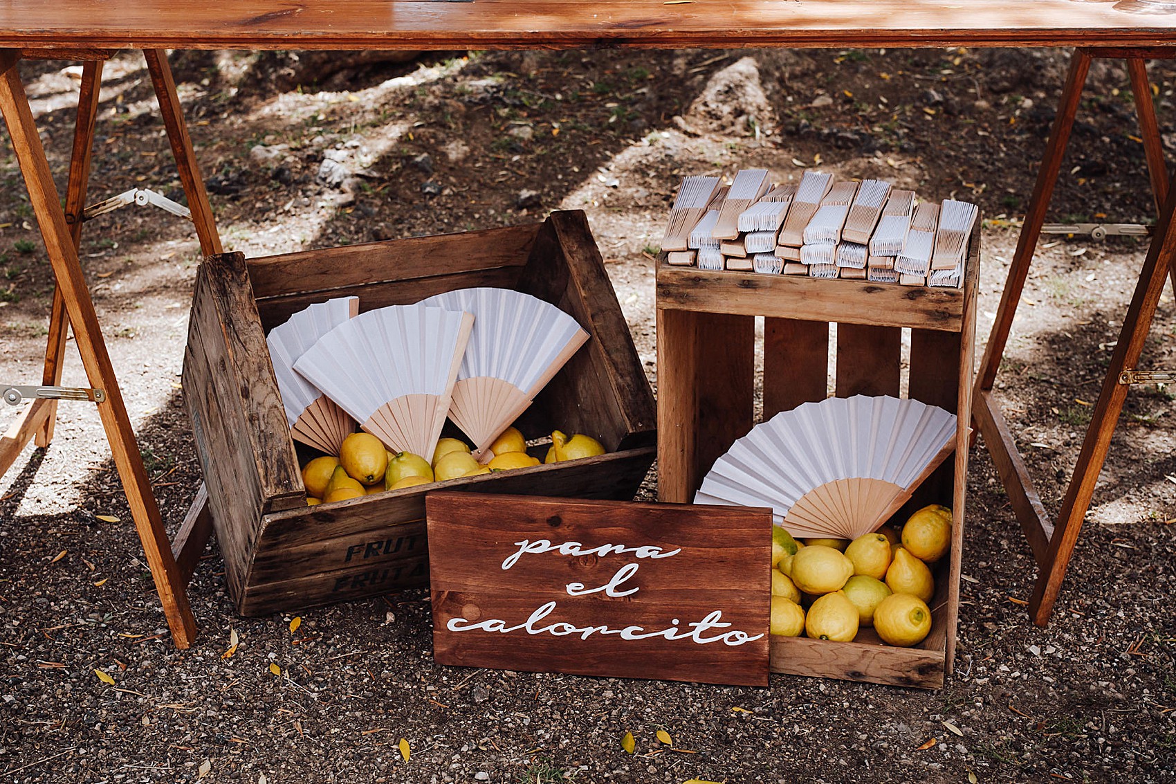 12 Erdem dress Mallorca wedding