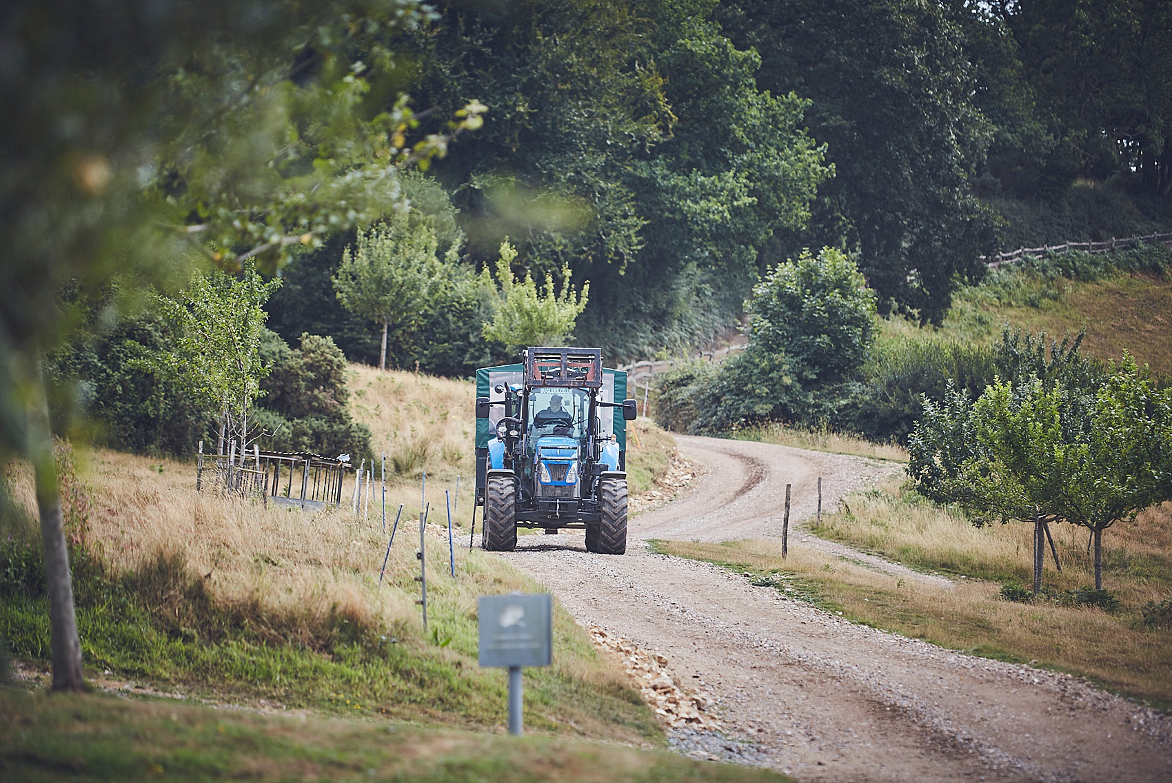 13 River Cottage Wedding