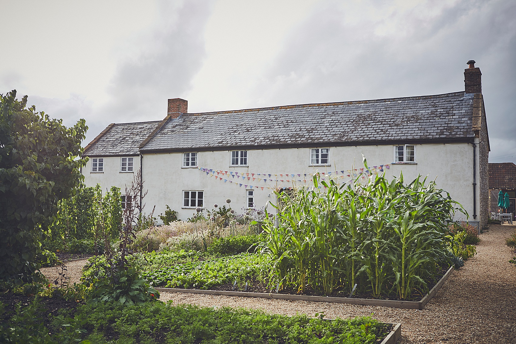 40 River Cottage Wedding