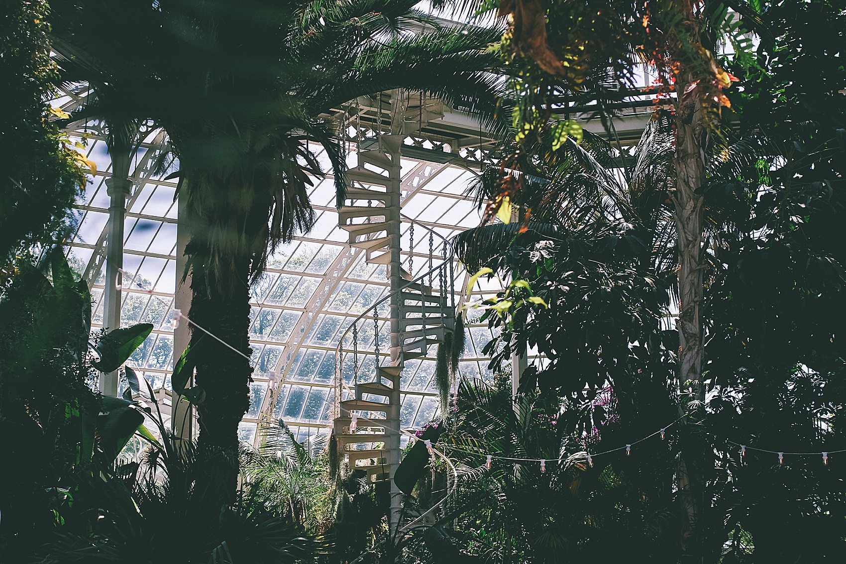 Rue de Seine bride Sefton Park Palm House Liverpool wedding 19