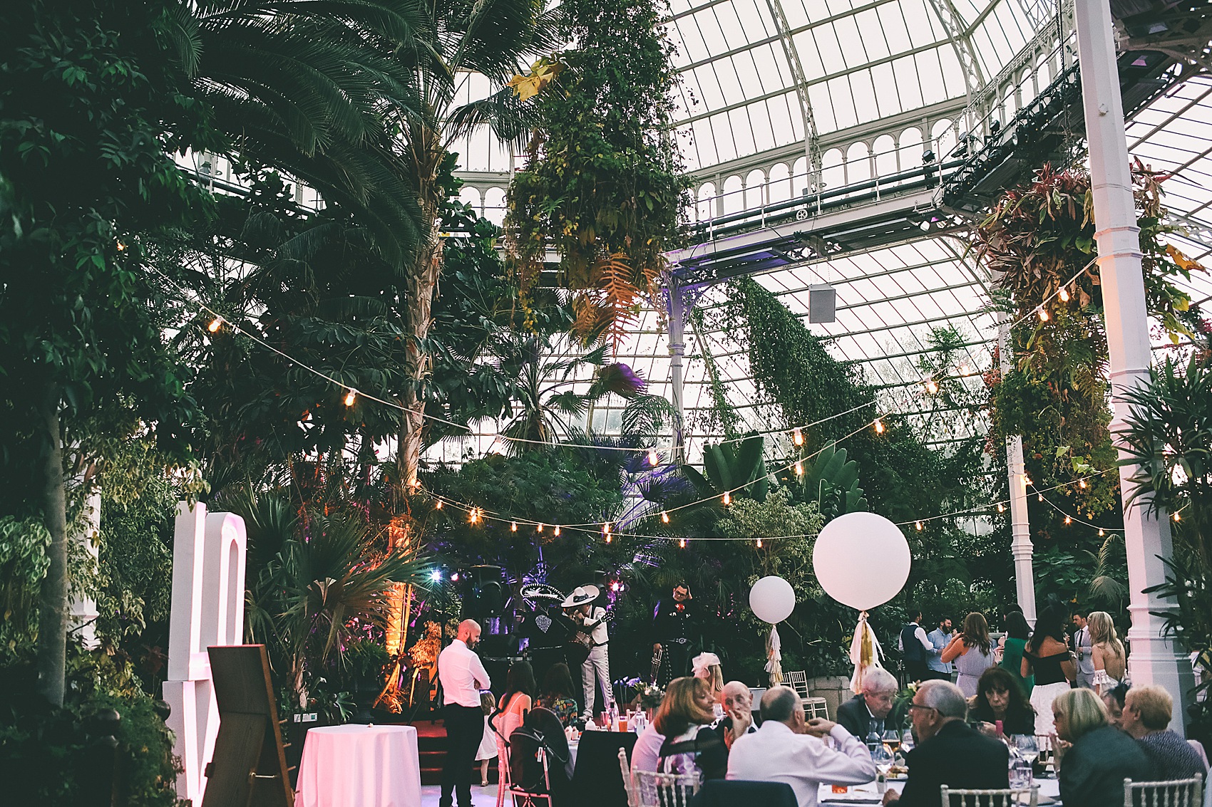 Rue de Seine bride Sefton Park Palm House Liverpool wedding 49