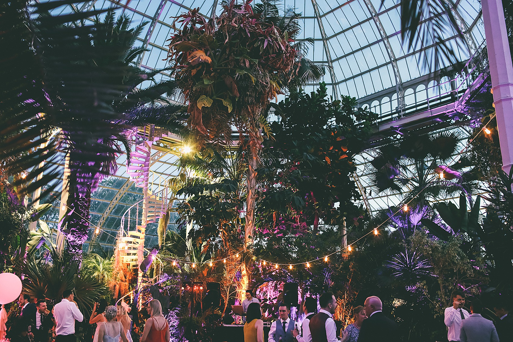 Rue de Seine bride Sefton Park Palm House Liverpool wedding 51