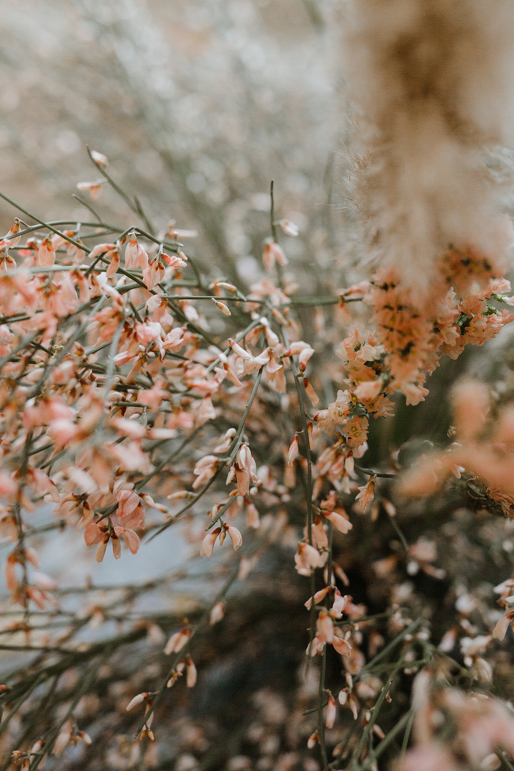 167 Ethical sutainable wedding inspiration