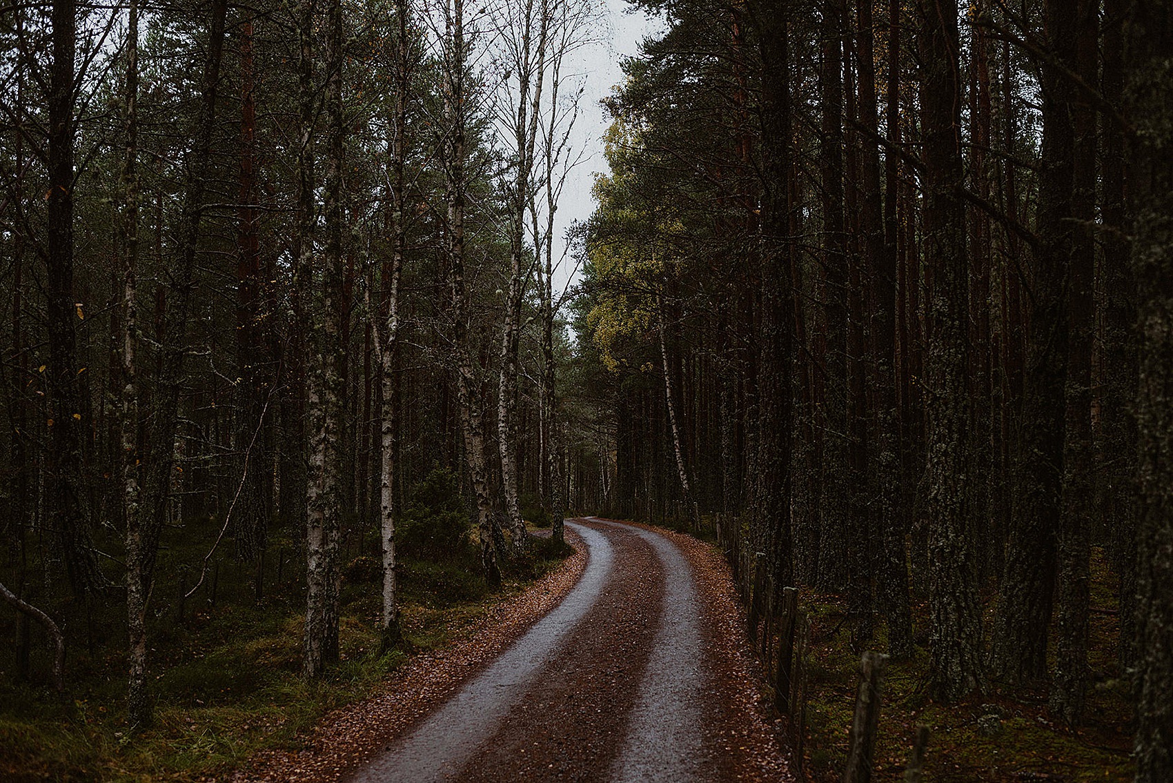 3 Elopement Scotland