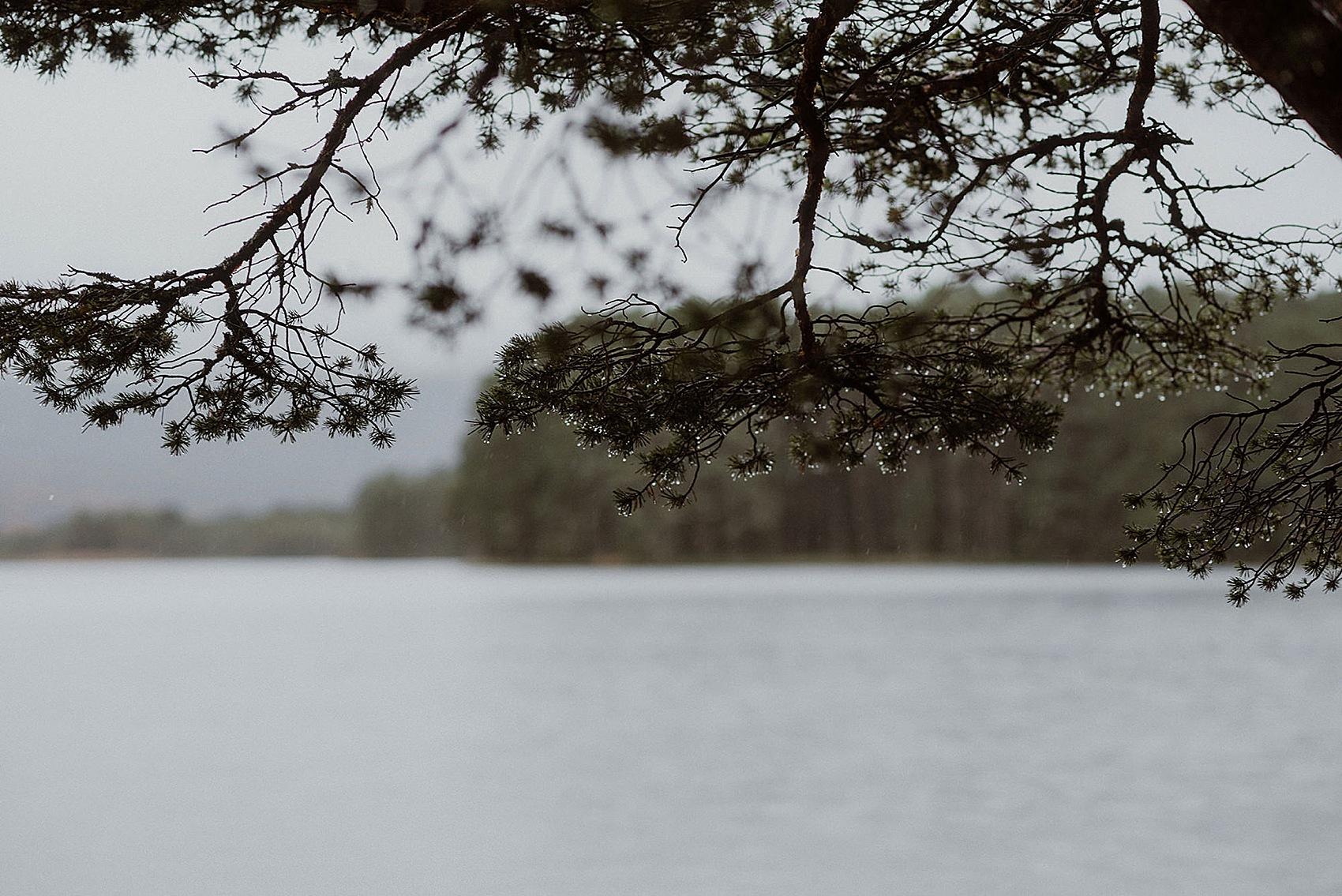 50 Elopement Scotland