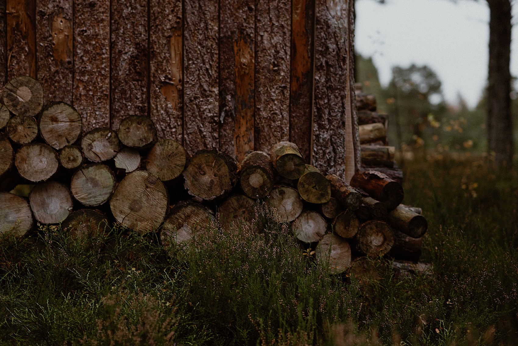 6 Elopement Scotland