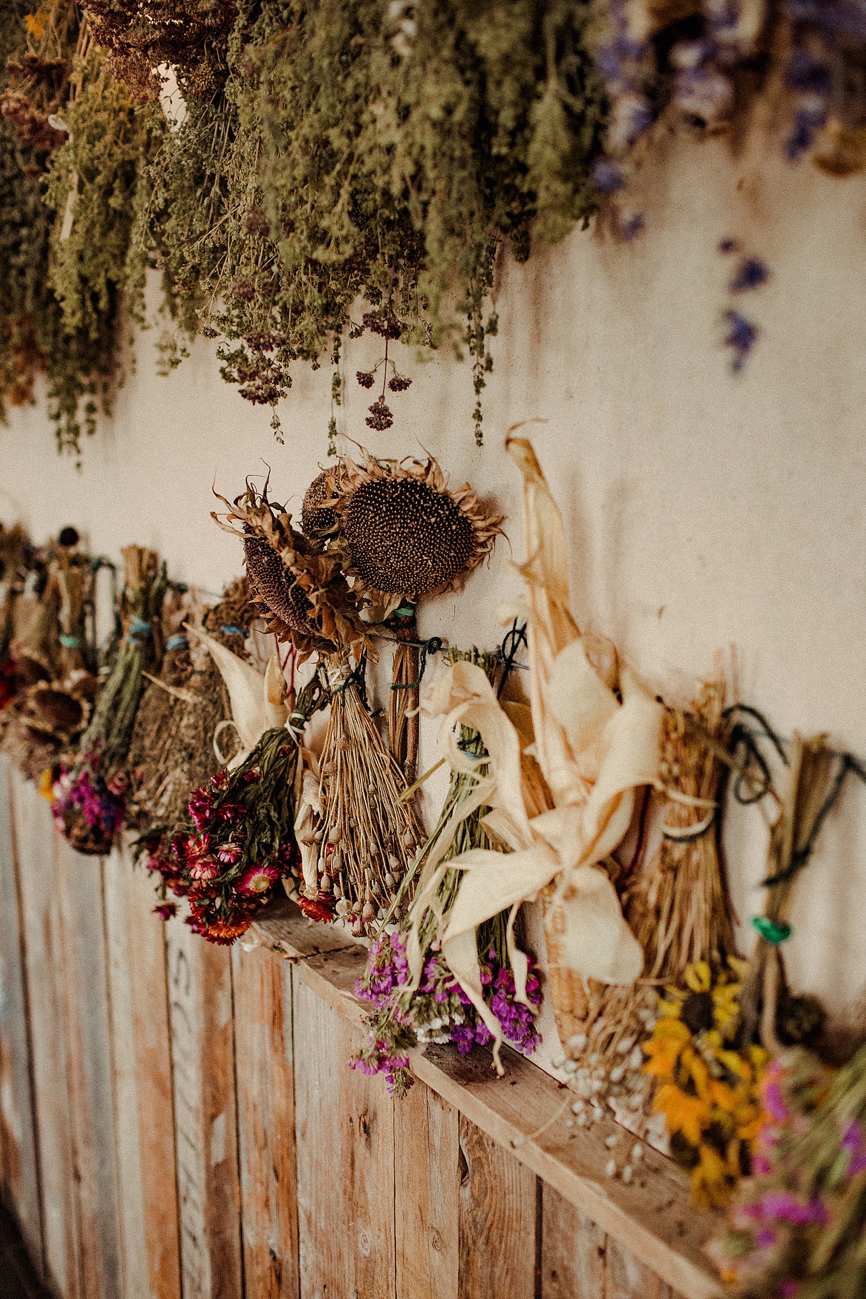 35 Riverford Field Kitchen Wedding Devon Halfpenny Wedding