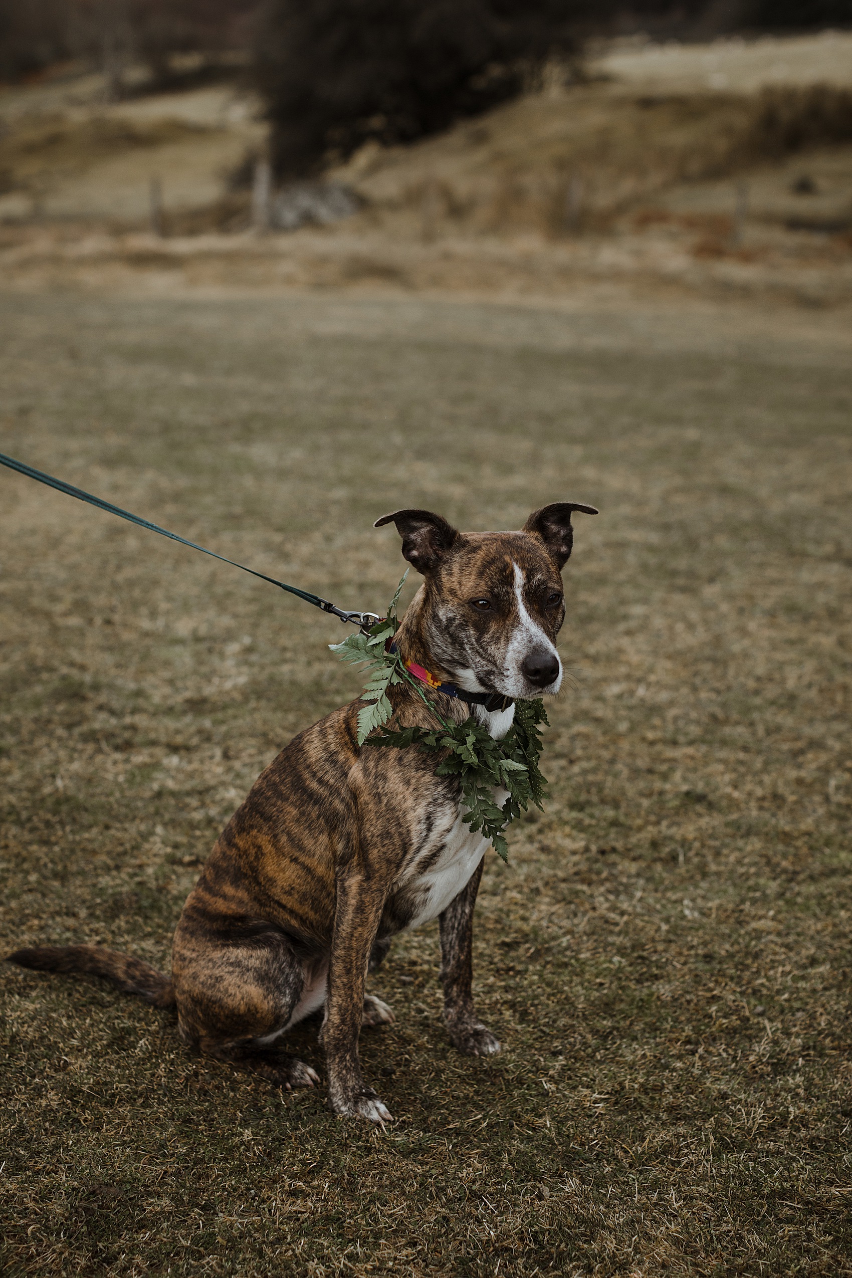 37 Nature inspired Scottish outdoor wedding