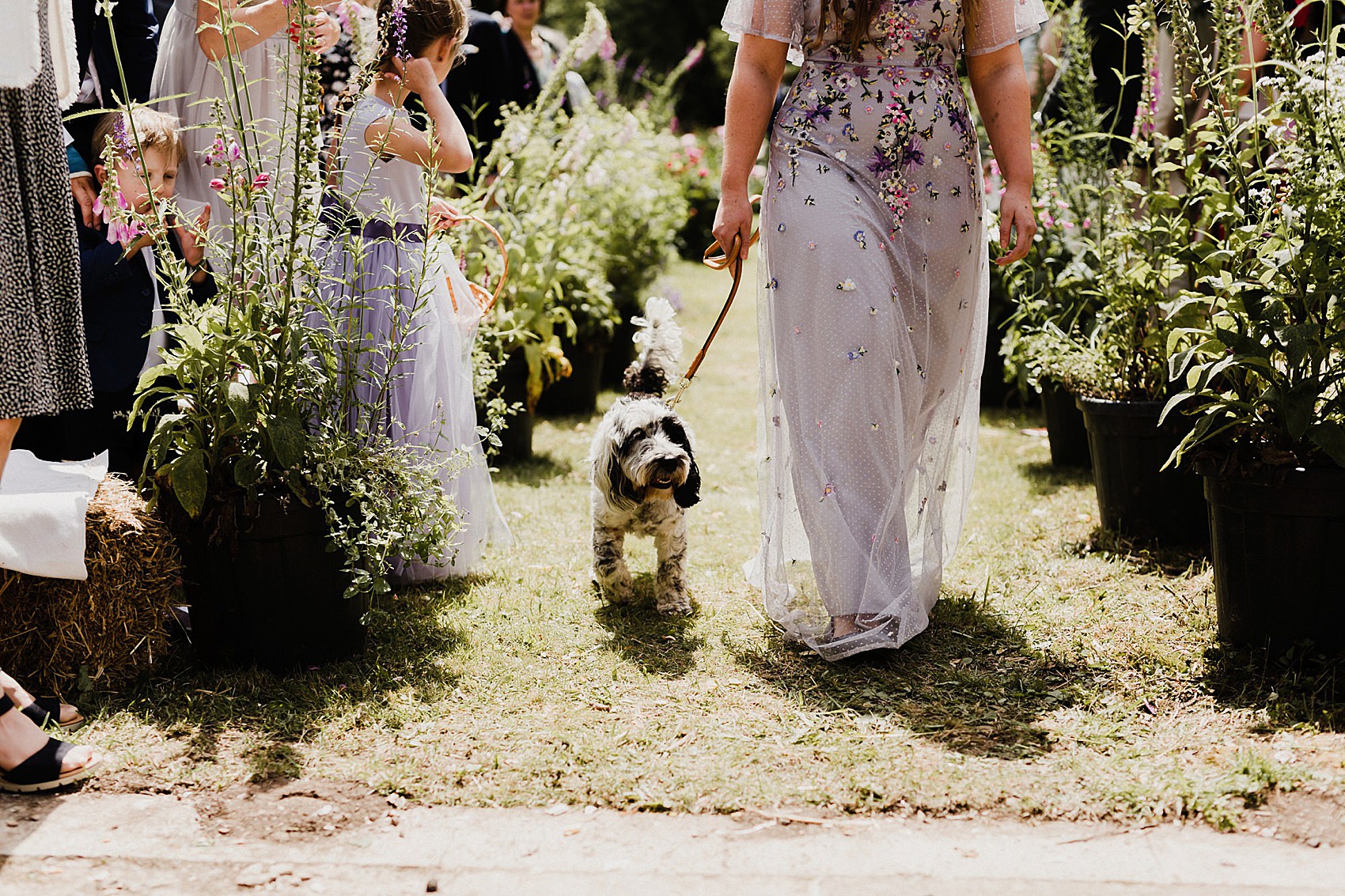 30 Caroline Castigliano bride