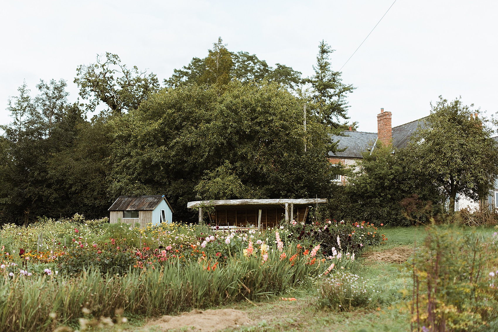 33 Harvest Moon micro wedding inspiration