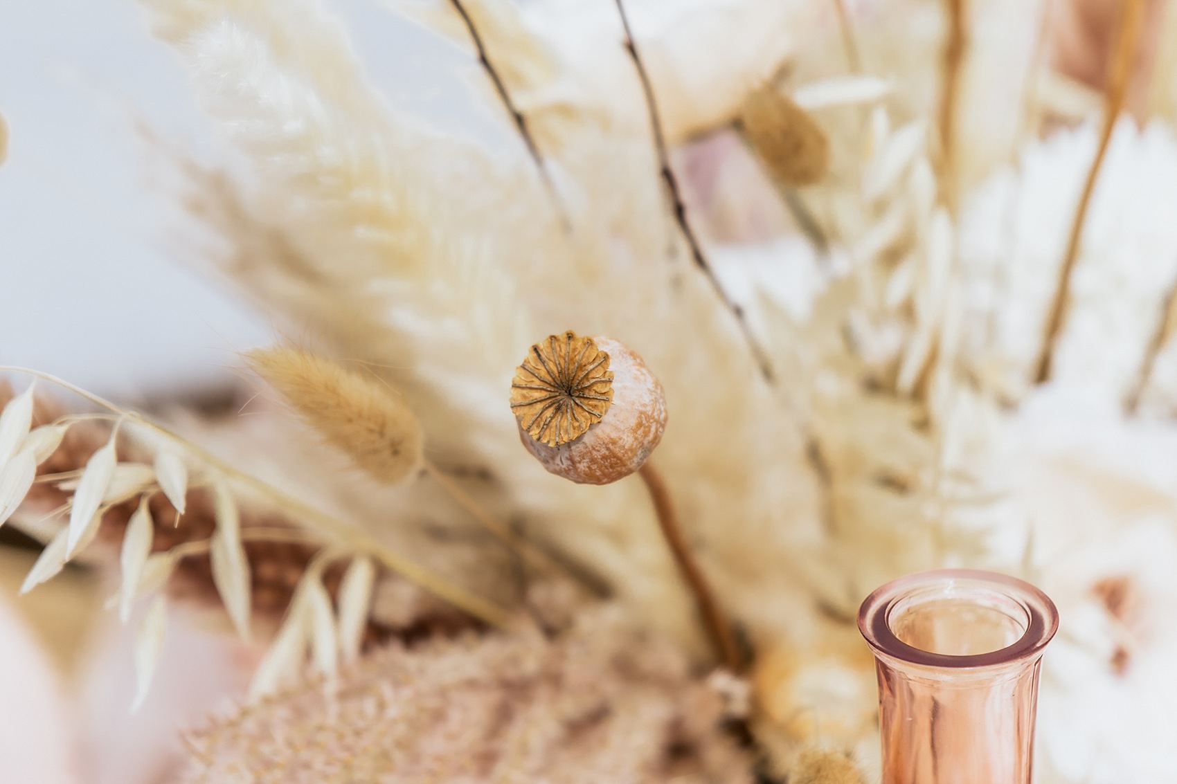 56 Sustainable eco diverse wedding style
