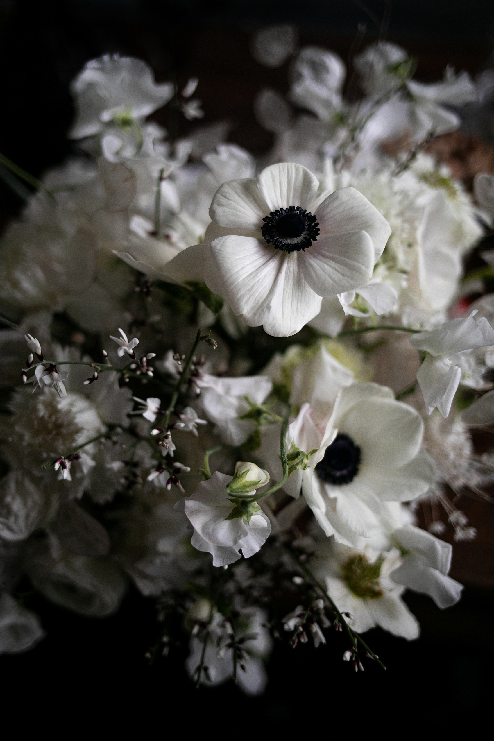 94 Ethical intimate graceful wedding editorial