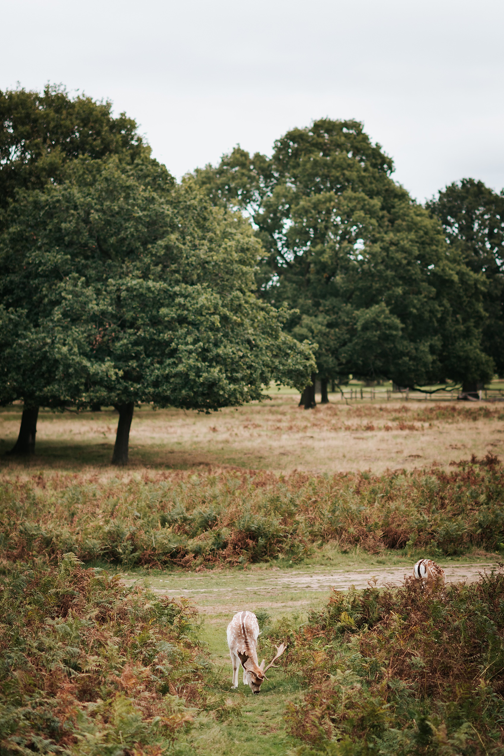 14 Hampton Court House Wedding 1