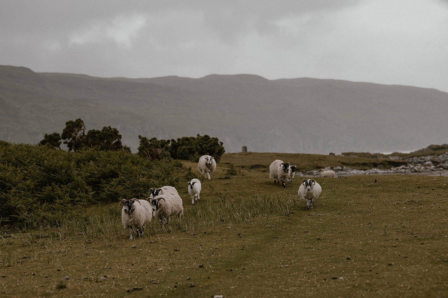 028 Isle of Mull elopement The Caryls Photography