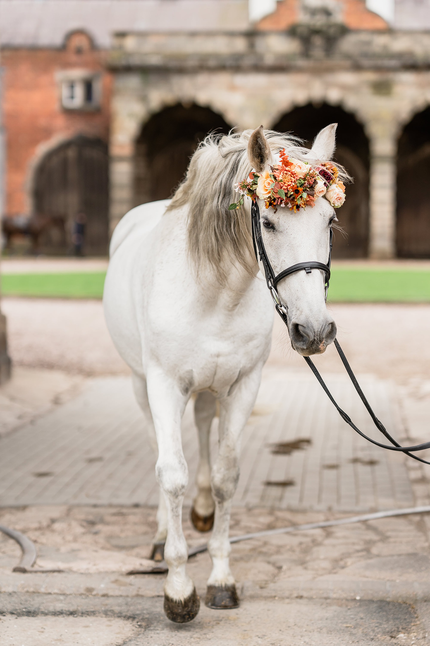 Charlotte Palazzo Wild Romance at Ingestre 5