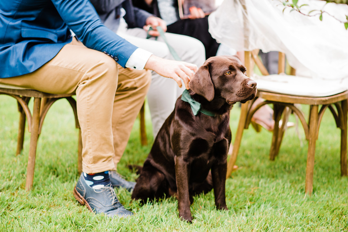 132 Wonwood Barton Devon Wedding