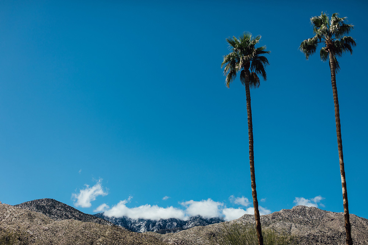 3 Palm Springs Ace Hotel wedding