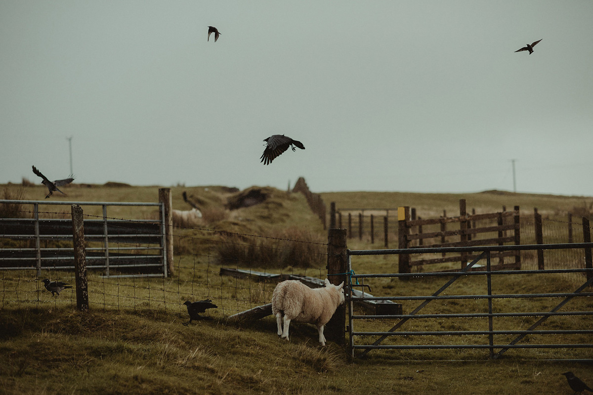 9 Isle of Skye Wedding