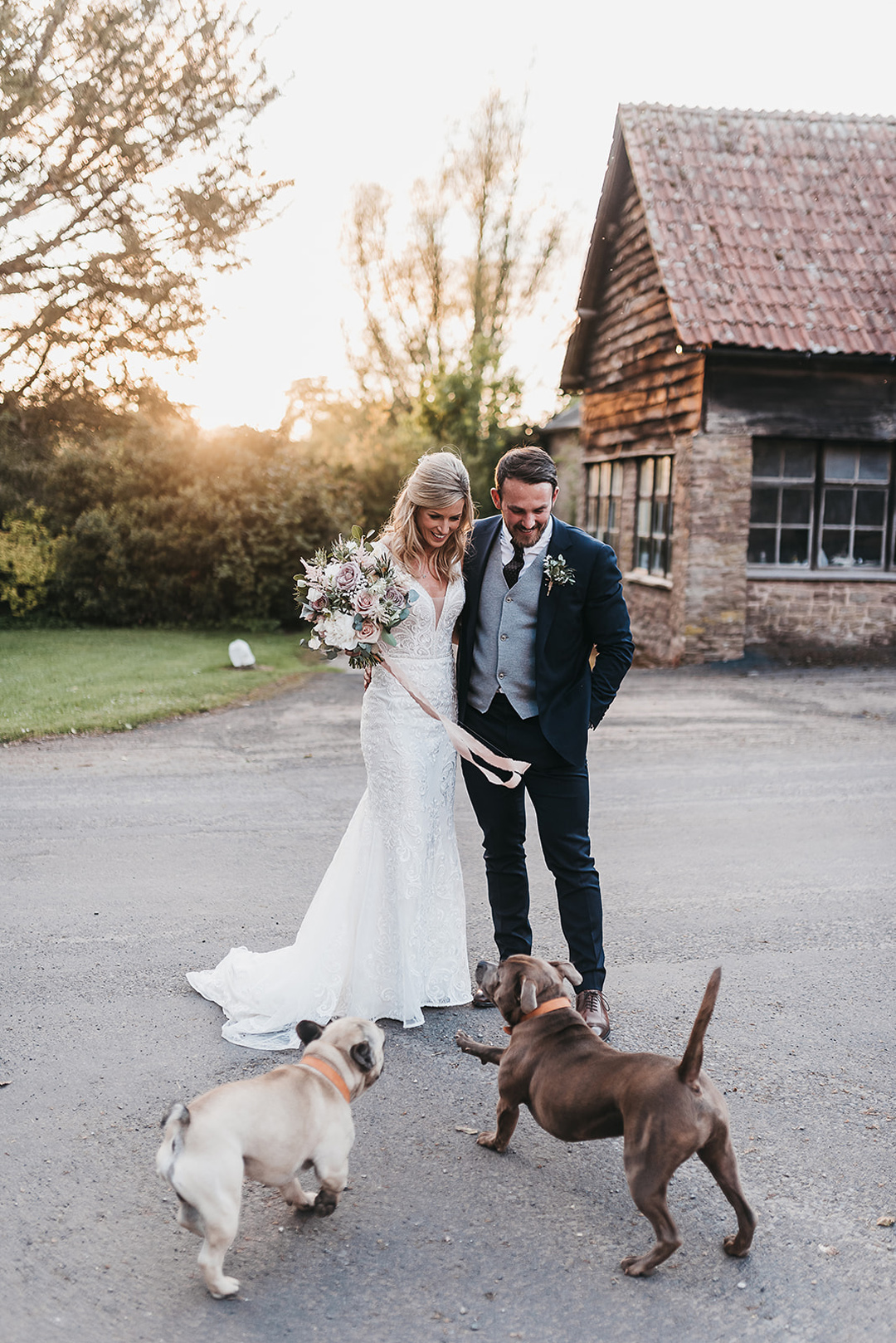 Bride & groom with dogs, Broadfield country house wedding venue, Herefordshire, West Midlands