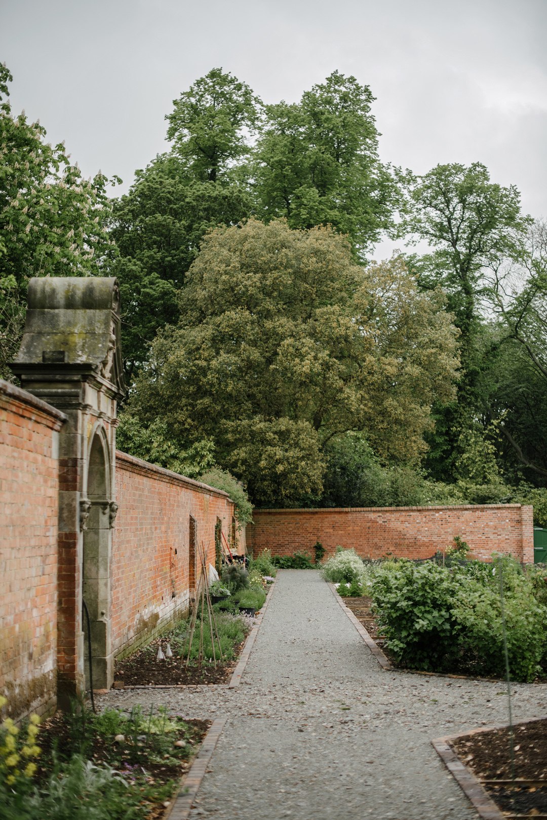 6 Hampton Manor wedding Suzanne Neville bride