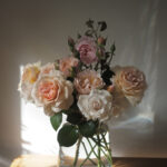 British grown roses at Moonwind Flowers