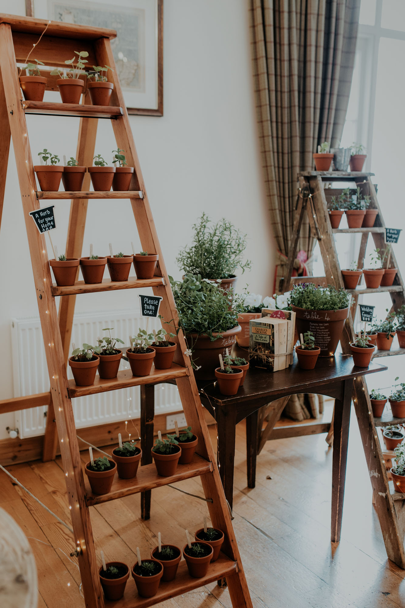 Step ladder with potted herbs wedding favours