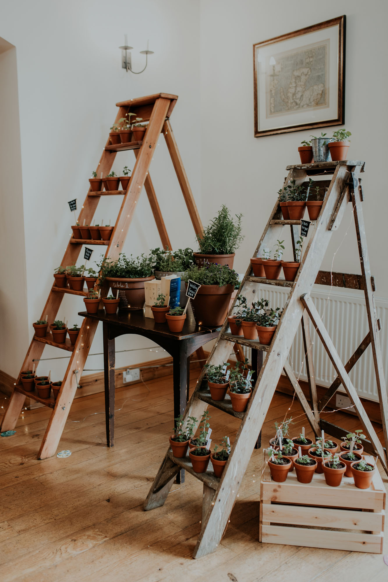 Step ladders with potted herb wedding favours