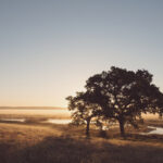 The view at Elmley Nature Reserve - wedding venue Isle of Sheppey Kent