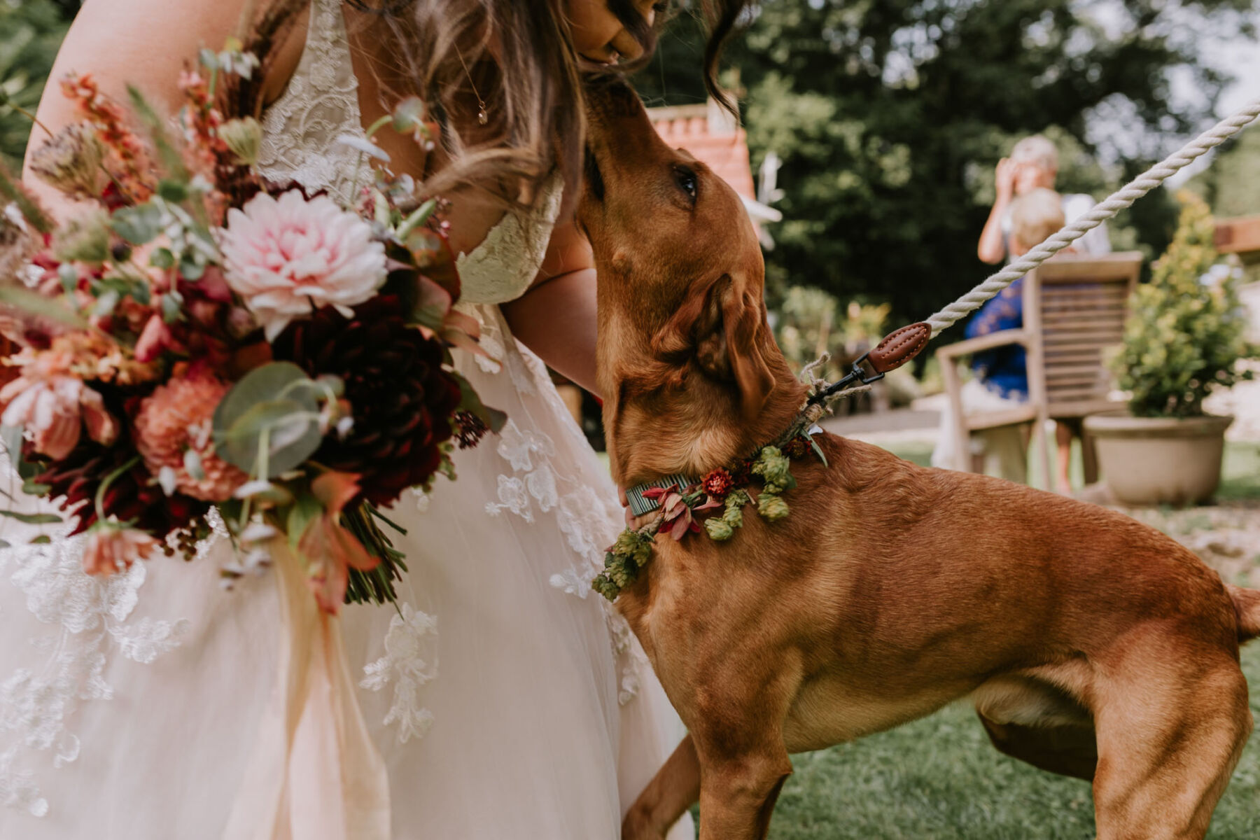 Dog with floral necklace at a wedding