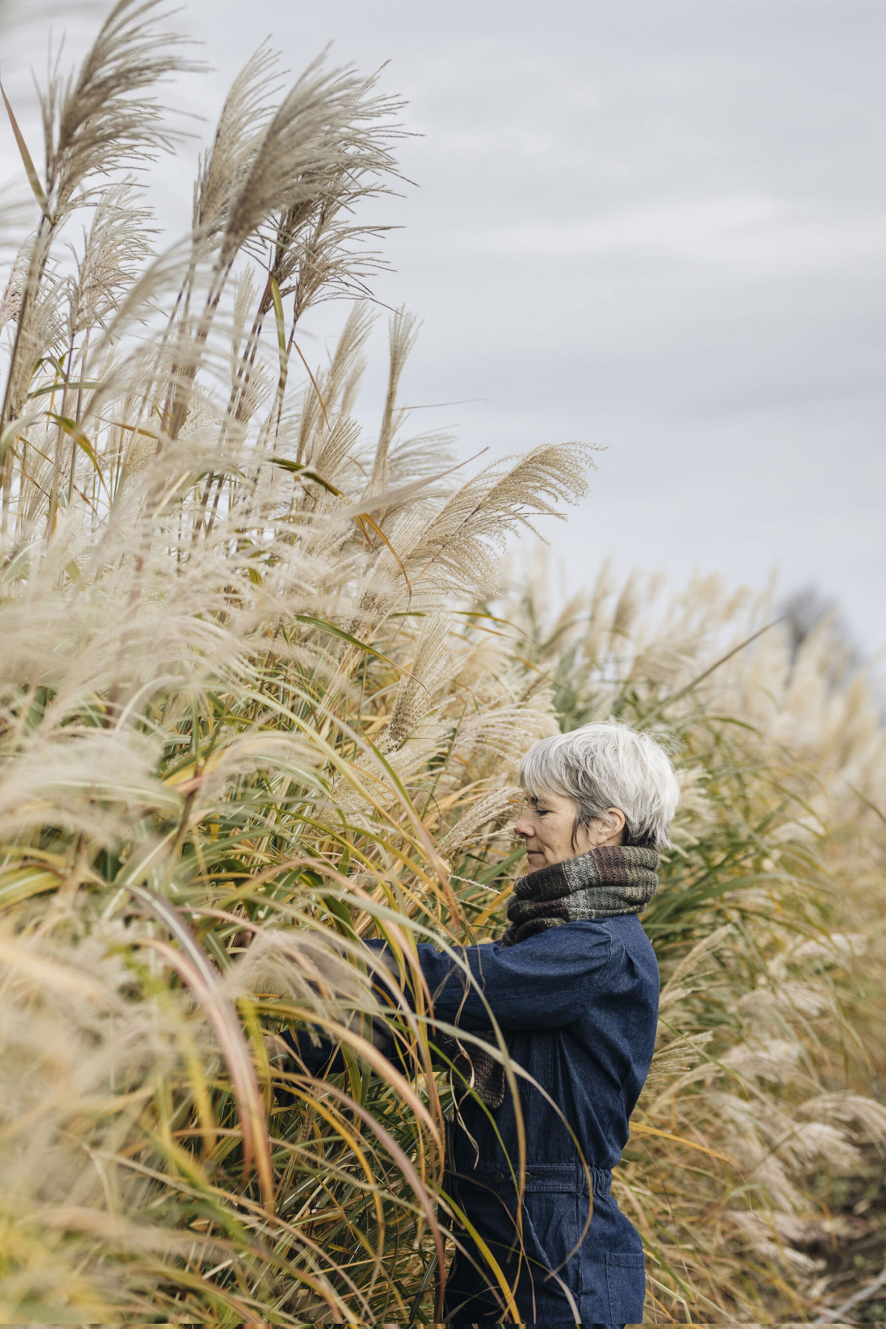 Pampas Grass being picked by Green and Gorgeous