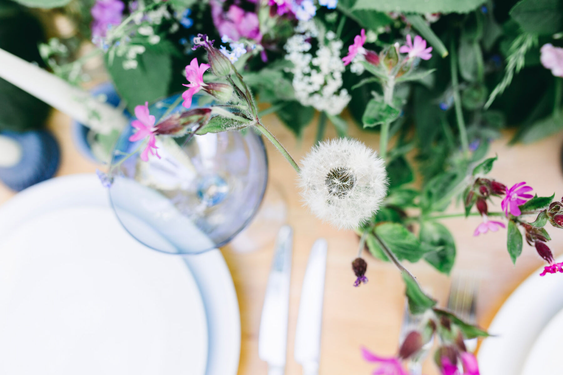 Pickleberry Flowers Harriet Cross Photography