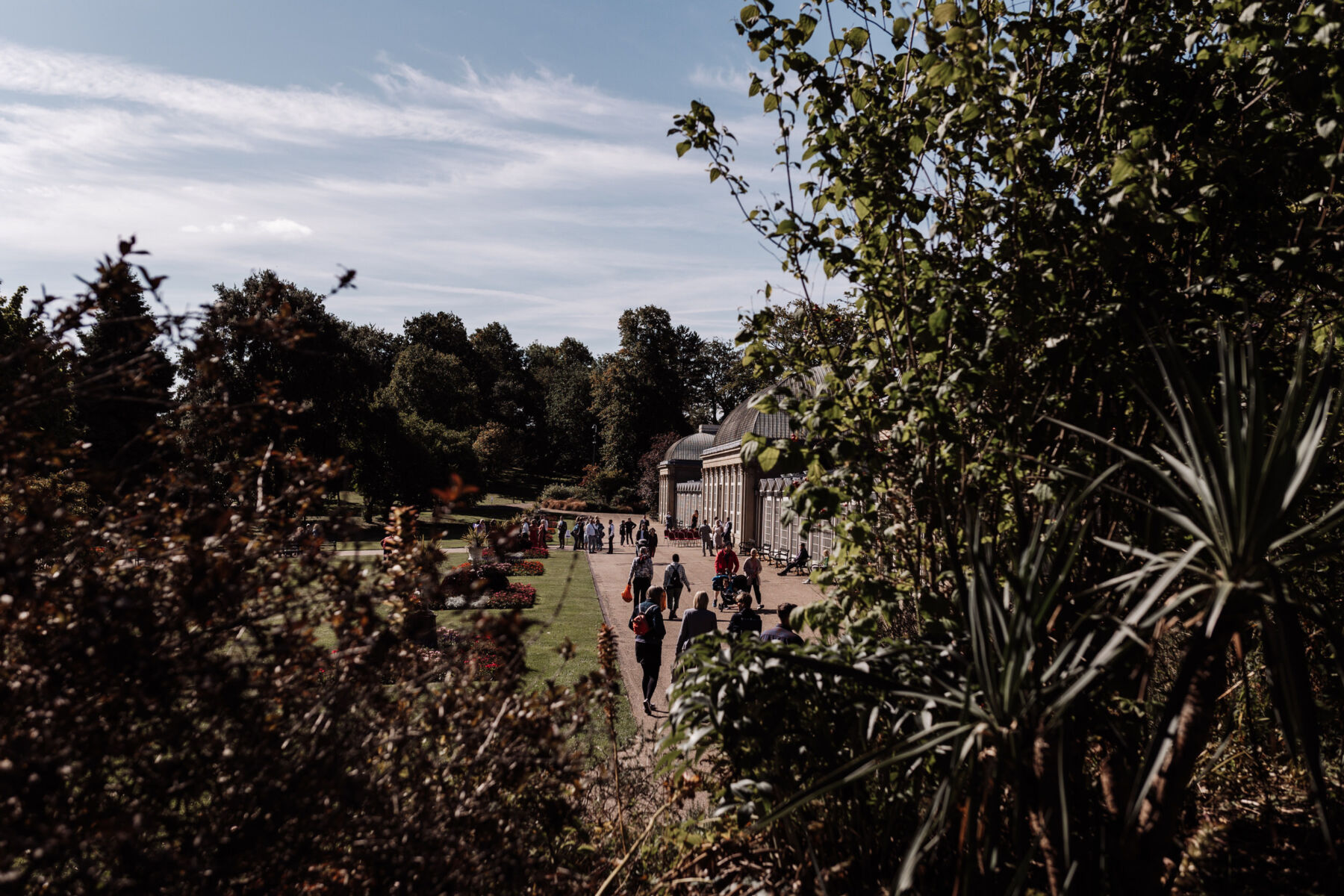 Sheffield Botanical Gardens