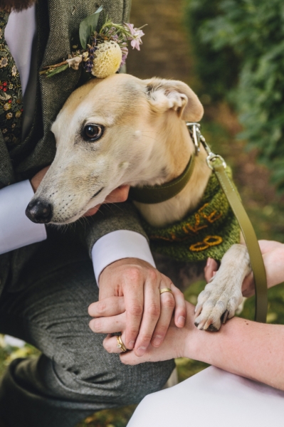 Cute dog at a wedding. Cotswolds wedding photographer & videographer, Marta May Photography