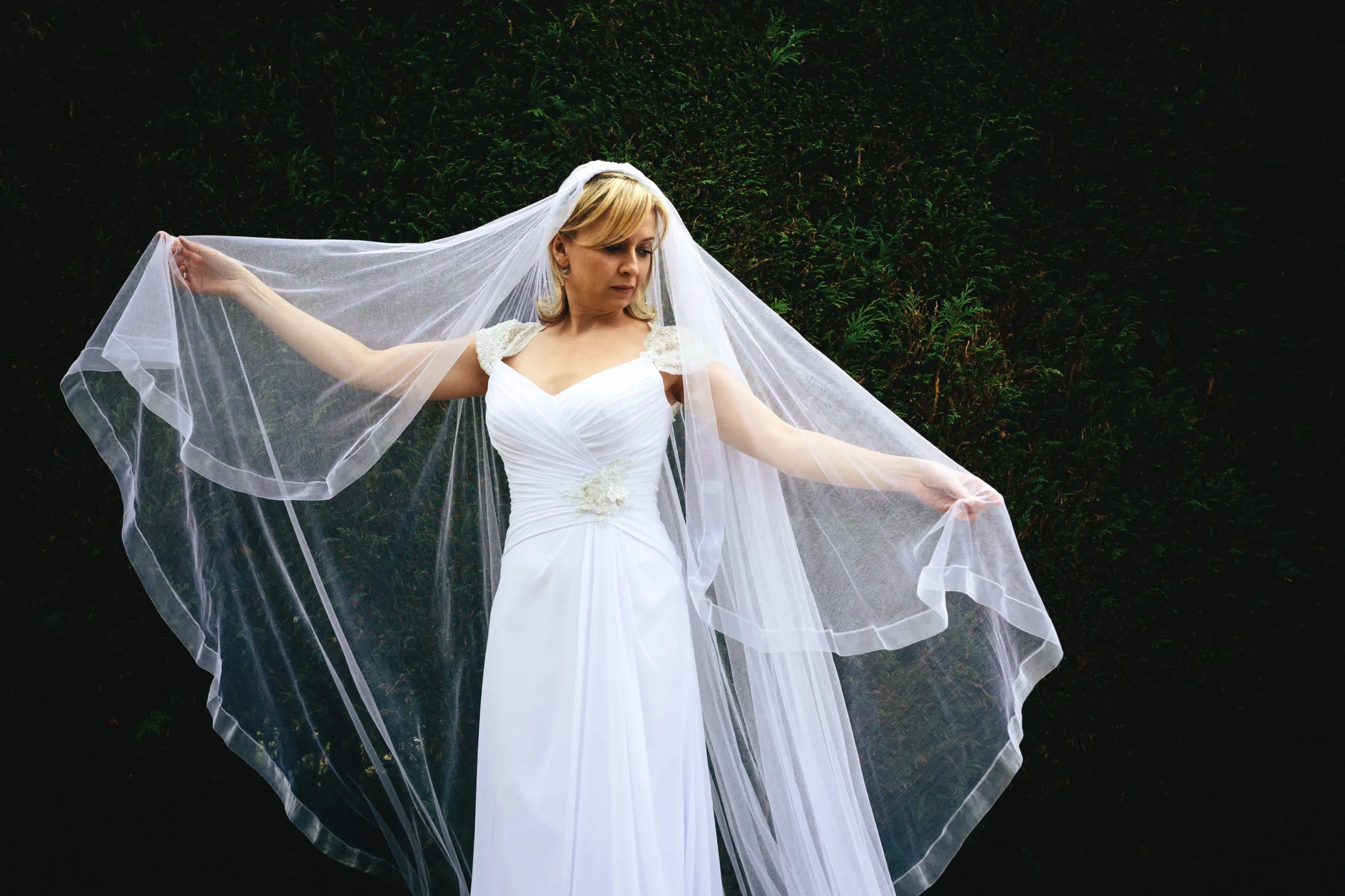 Dream Veils