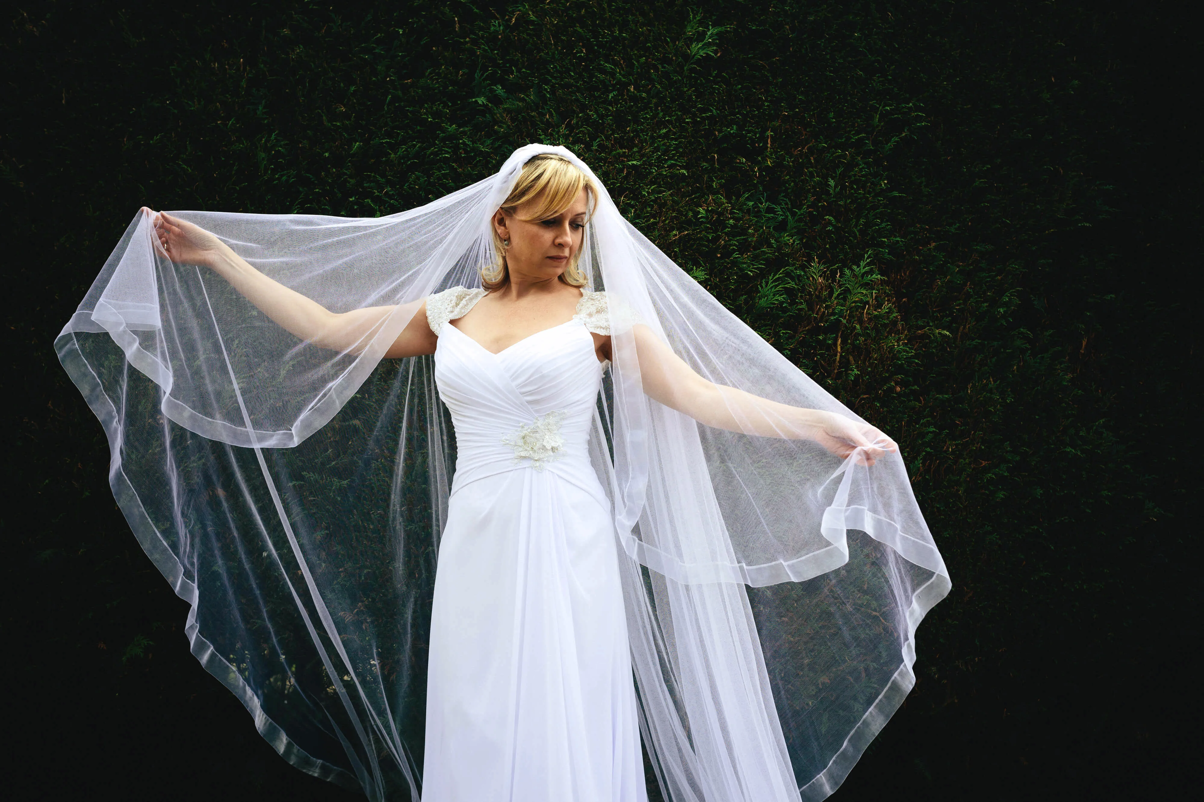 Dream Veils