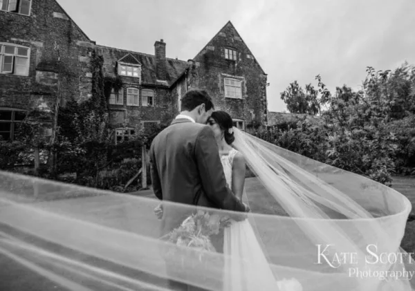 Dream Veils