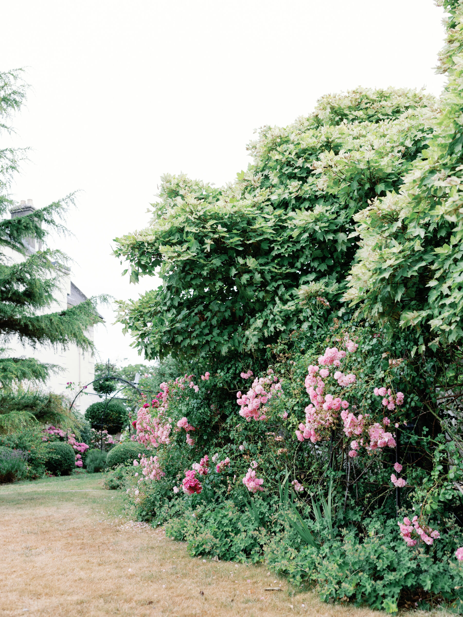 A Bridal Gown Covered in Pearls for a Nature Inspired Wedding at Gileston Manor in Wales 22 Bushes with pink flowers