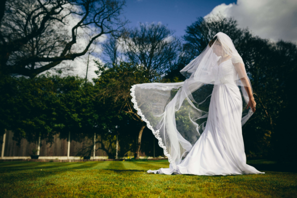 Dream Veils
