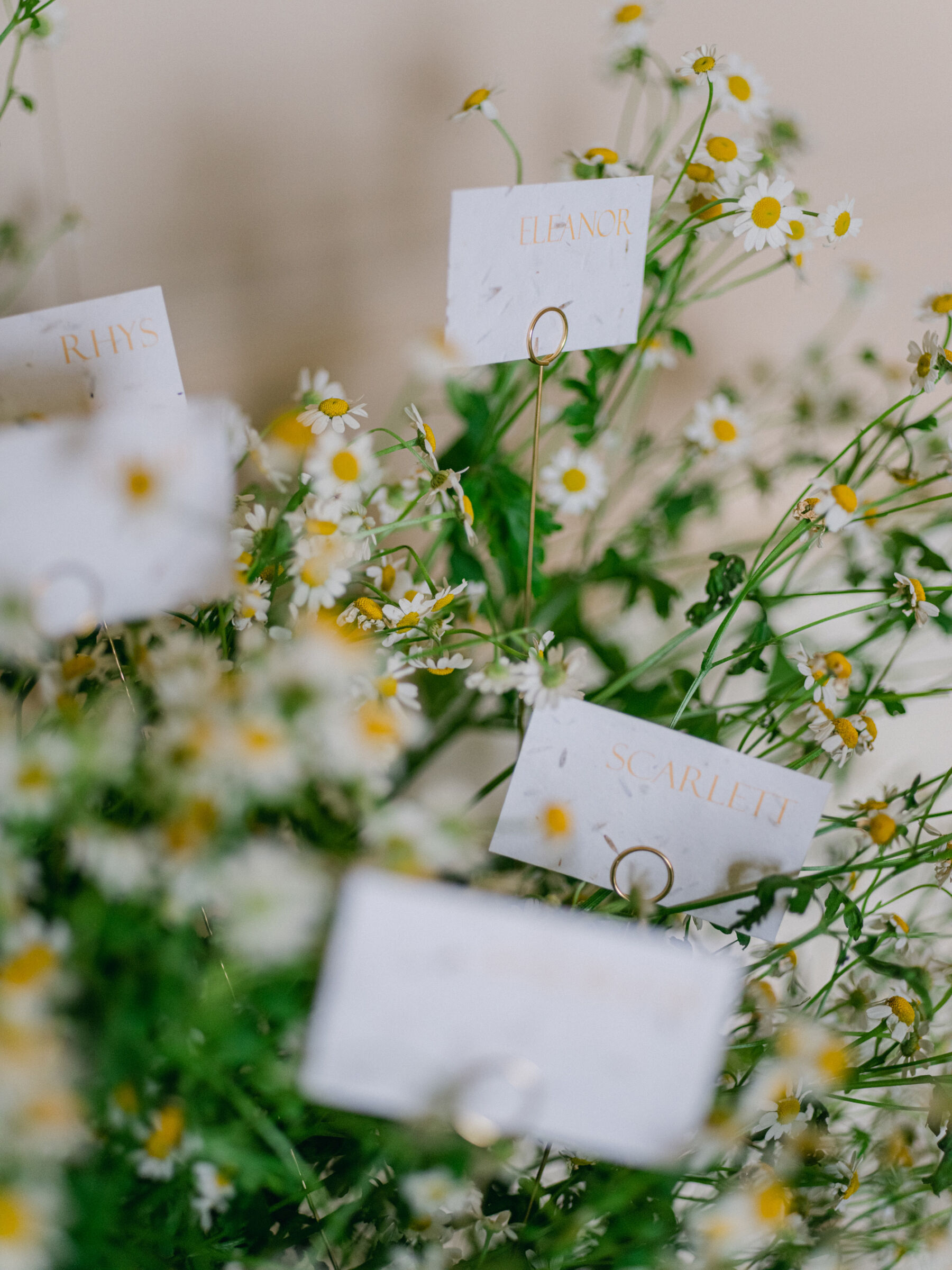 Chamomile daisies holding wedding place cards.