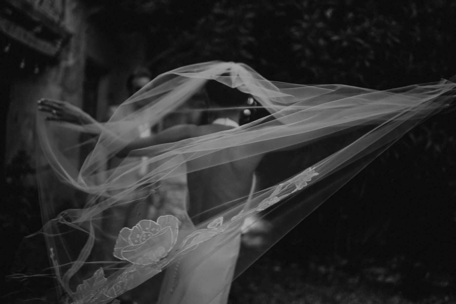 Artistic black and white photograph of bride in a backless halterneck dress holding her veil that is flying in the breeze.