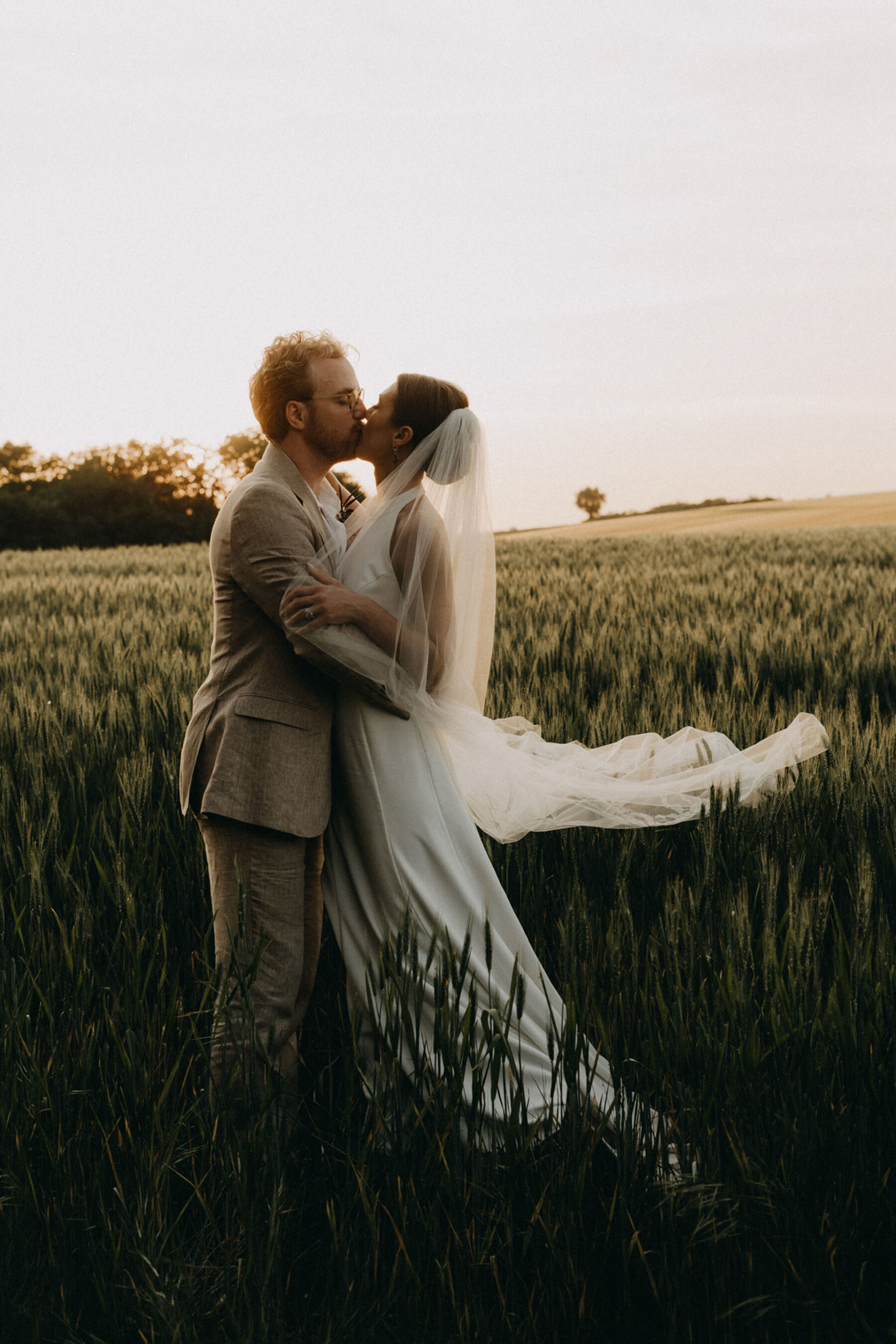 Bride and groom embracing in a cornfield at goldenhour. She wears a halterneck gown.