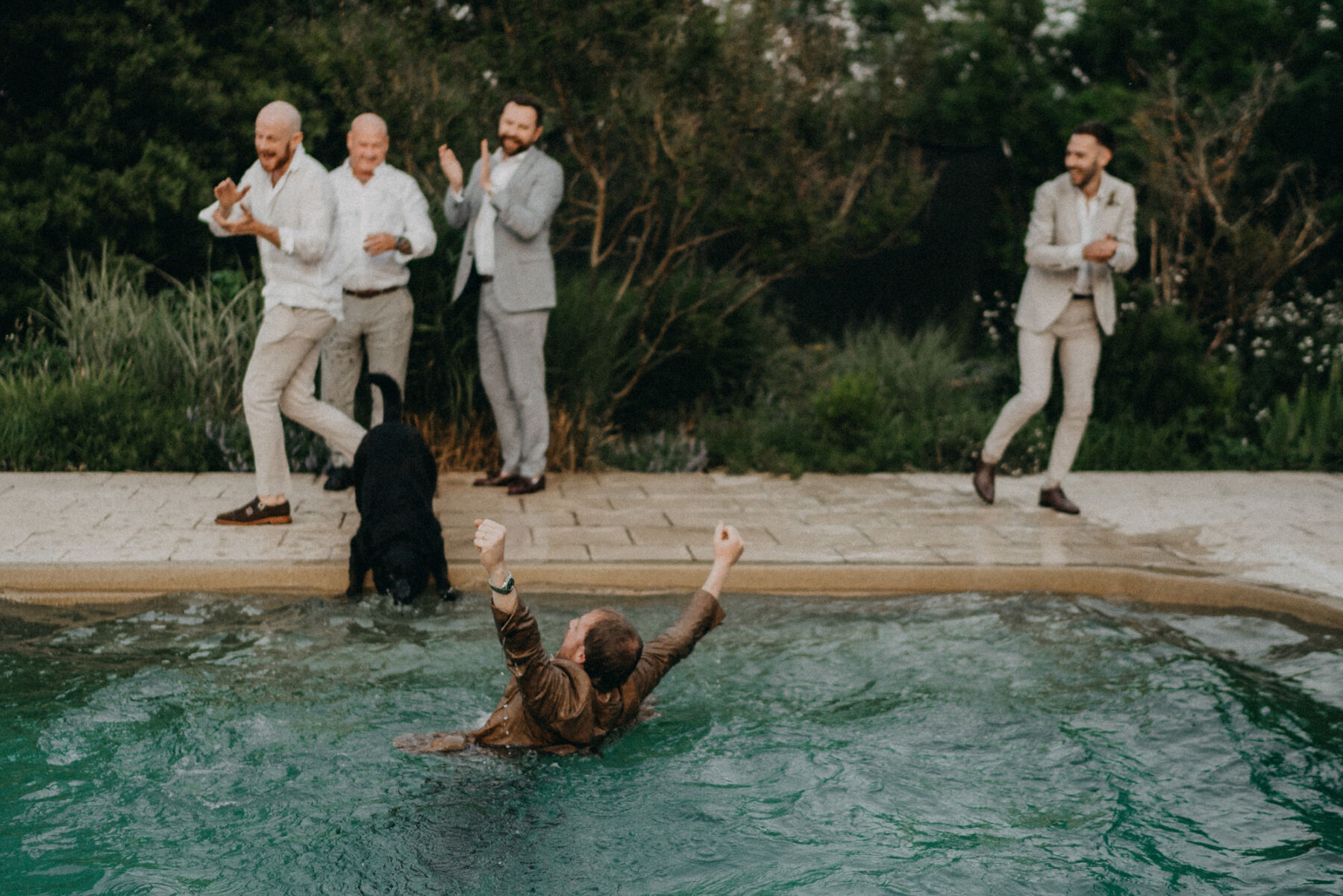 Groom and groomsmen jumping into a swimming pool. 