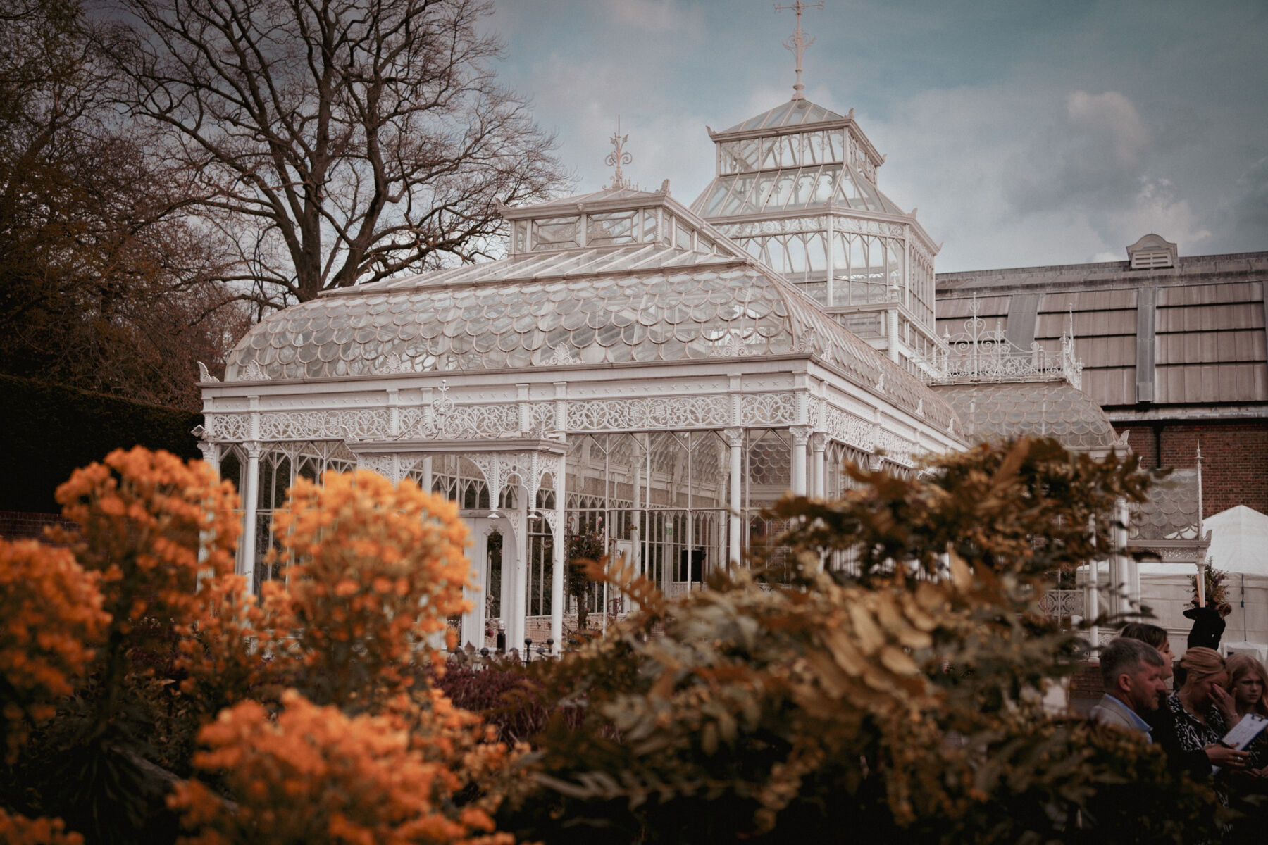 110 Conservatory Wedding Horniman Museum and Gardens